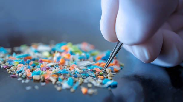 Public policy proposal on microplastics
